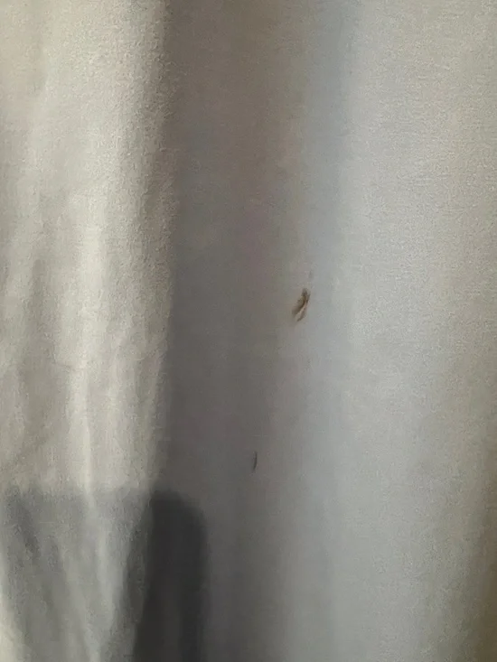 wild fable Periwinkle Tie-Back Midi Dress - Picture 4 of 5